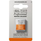 Winsor & Newton Profesyonel Sulu Boya Yarı Kap, Yanık Toprak Rengi, Halber Napf