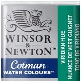 Winsor & Newton Viridian Hue 696 Yarım Tablet Sulu Boya