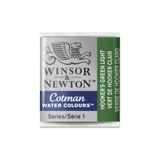 Winsor Newton Winsor & Newton : Cotman Tablet Sulu Boya : Hooker's Green Light