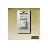 Winsor Newton Winsor & Newton Professional Sulu Boya Yarım Tablet Terre Verte (Yellow Shade) 638 S.1