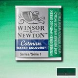 Winsor & Newton Winsor Newton Tablet Sulu Boya No : 329 Intense Green