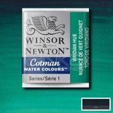 Winsor & Newton Winsor Newton Tablet Sulu Boya No : 696 Viridian Hue