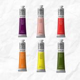 Winsor & Newton Winsor Newton Winton Yağlı Boya 200ML Set6