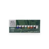 Winsor Newton Winsor & Newton : Winton Yağlı Boya Tanıtım Seti : 10 Renk X 37 Ml