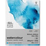 Winsor & Newton Winsor&newton Sulu Boya Bloknotu Yapışkanlı Soğuk Baskı 300GR 12 Sayfa 31X41CM