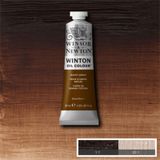 Winsor Newton Winton 37 ml Burnt Umber 076 Yağlı Boya