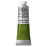 Winsor Newton Winton 37 ml Sap Green 599 37 Yağlı Boya
