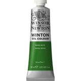 Winsor Newton Winton 39 Terre Verte Yağlı Boya