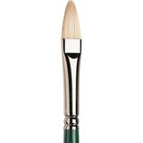 Winsor & Newton Winton Uzun Saplı Sert Kıllı Kedidili Fırça No:6