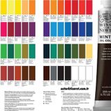 Winsor Newton Winton Yağlı Boya 200ml Indian Red / 317