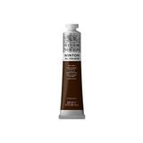 Winsor Newton Winton Yağlı Boya 200ml Raw Umber / 554