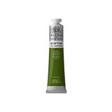 Winsor Newton Winton Yağlı Boya 200ml Sap Green / 599