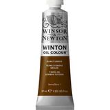 Winsor & Newton Winton Yağlı Boya 37 Ml Burnt Umber 076