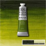 Winsor & Newton Winton Yağlı Boya 37 ml Sap Green Renk Yüksek Pigmentasyon Özelliği ile 599