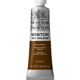 Winsor Newton Winton Yağlı Boya 37ml Burnt Umber / 76