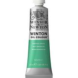 Winsor Newton Winton Yağlı Boya 37ml - N:241 Emera
