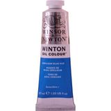Winsor & Newton Winton Yağlı Boya Açık Mavi Renk 37 ml Serisi 1 Özellikli Boya