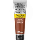 Winsor&Newton Galeria Akrilik Boya, 120Ml, Burnt Sienna Opaque 077