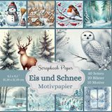 Winterlicher Scrapbook-Traum: Eis & Schnee Motivpapier: Bastelpapier, 40 Seiten, 21,59 x 21,59 cm, mit 10 einzigartigen Designs, die jeweils 2x enthalten sind - Rückseite ist in passenden Unifarben