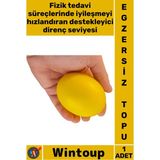 Wintoup #egzersiztopu Ergonomik Parmak Güçlendirme Fizik Tedavi El Bilek Kas Çalıştırma Egzersiz Topu Elips - Çok Renkli