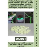 Wintoup Gece Parlayan Saksı Bahçe Yürüyüş Yolu Otopark Havuz Akvaryum Çok Şık Fosforlu Çakıl Taşı 50 Adet - 1 - 10 W