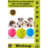 Wintoup #top Kaliteli Kauçuk Diş Kaşıyıcı Interaktif Eğitici Çiğneme Oyun Pati Desenli Köpek Isırma Topu - Tek Ebat - Çok Renkli
