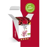 Wipool Smoothie Shake Muz-Çilek (5'li Paket) %100 Meyve - Katkısız , Koruyucu ve Ilave Şeker Içermez - 1 Adet