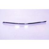 Wisco 123536100 Tampon Çıtası Arka Sol Krom Vw Passat 11 > 3Ae8074592zz