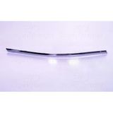 Wisco 123536200 Tampon Çıtası Arka Sağ Krom Vw Passat 11 > 3Ae8074602zz