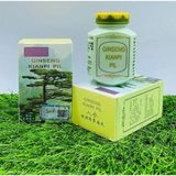 Wisdom Ginseng Kianpi Pil Doğal Karbonhidrat Yardımcısı, Bitkisel Gainer 60 Kapsül