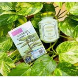 Wisdom Wısdom Ginseng Kianpi Pil Karbonhidrat Gainer 60 Kapsül Qr Check Kodlu Japonya Menşeli İçerik Bilgisiyle