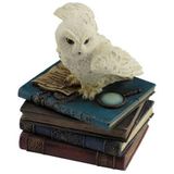 Wise Biblolar Serisi – Baykuş Kutu 10x9x12 Cm | Dekoratif Hediyelik Ev ve Ofis Aksesuarı