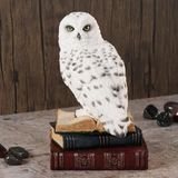 Wise Biblolar - Wise Hayvanlar Alemi Kitap Üstünde Kar Baykuşu Biblo Dekoratif Obje 11×11,5×17,5 CM