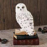 Wise Biblolar - Wise Hayvanlar Alemi Kitap Üstünde Kar Baykuşu Biblo Dekoratif Obje 11X11,5X17,5 Cm