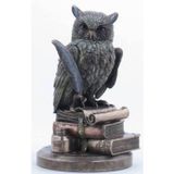 Wise Hayvanlar Alemi – Baykuş Dekoratif Obje (Poliresin) 23X14X15 Cm