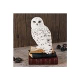 Wise Hayvanlar Alemi – Kitap Üstünde Kar Baykuşu Dekoratif Obje (Poliresin) 11X11,5X17,5 Cm