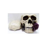 Wise İskelet Serisi – Kurukafa Kulluk | Mitolojik ve Dekoratif Obje 15x23x13 CM
