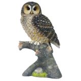 Wise Serisi Dalda Baykuş Biblo 19x12x6,5 Cm | Dekoratif Obje