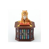 Wise Serisi – Hayvanlar Alemi – Renkli El Boyaması Kütüphaneci Kedi Figürü – 11x11x17 Cm – Dekoratif Obje