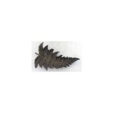 Wise Serisi – Yaprak Tabak Dekoratif Obje 24,5x15x4,5 cm