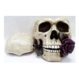 WISE Veronese İskelet Serisi-WISE KURUKAFA KULLUK-15*23*13 CM.
