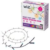 Wiz Rgb Akıllı Süsleme Işıkları - Yılbaşı Işıkları 20 Metre - Çok Renkli