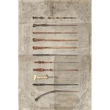Wizarding World Harry Potter-The Wand Chooses The Wizard Maxi Poster, Çok Renkli, 61 x 91,5 cm
