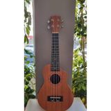 Wizzy Elektro Ukulele