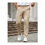 WKM Casual Regular Fit Erkek Chıno Pantolon