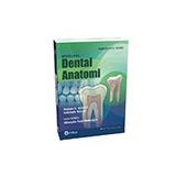 Woelfel Dental Anatomi-Güneş Tıp Kitabevi