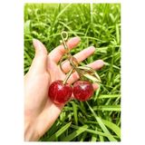 Wolawood Cherry 3D Kırmızı Kiraz Altın Detaylı Çanta Süsü & Anahtarlık Charm Aksesuar, Trend Moda ~ Vişne Dekor Hediyelik Takı