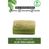 Wolawood Doğal Kabak Lifli Aloe Vera Sabunu %100 Bitkisel El Yapımı Peeling Temizleyici Organik Cilt Bakımı