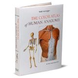 Wolf-Heidegger Color Atlas of Human Anatomy