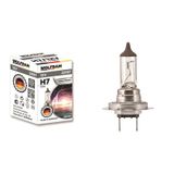 WOLFRAM-22197 AMPUL H7 12V 55W STANDART IŞIK